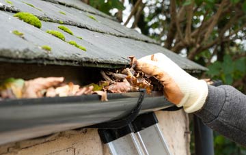 gutter cleaning Norley